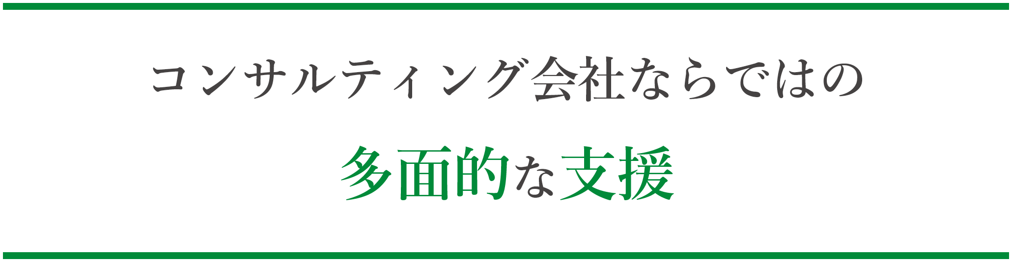 コンサルティング会社ならではの多面的な支援