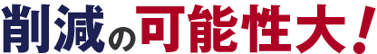 削減の可能性大